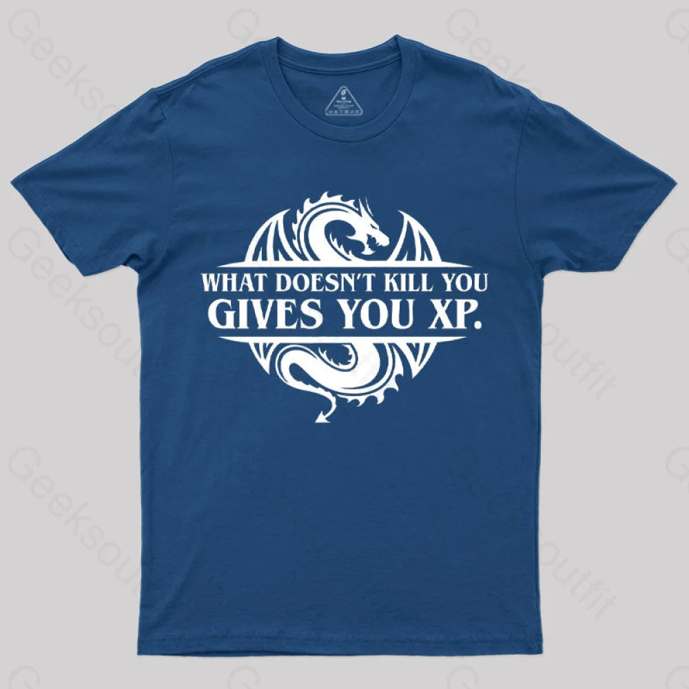 What Doesnt Kill You Give You Experience T-Shirt Cashmere